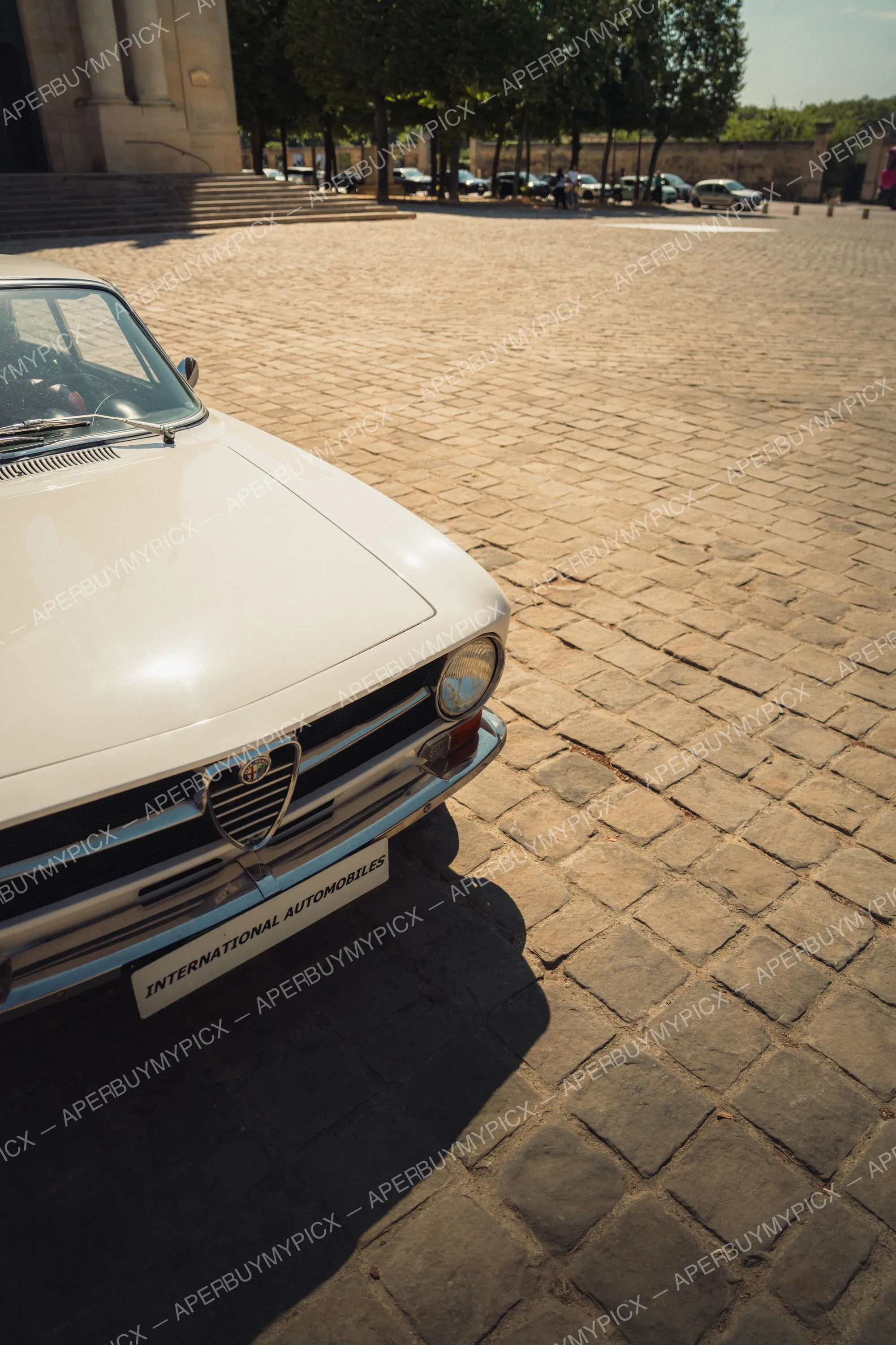 Vue avant d'une Alfa Romeo 1600 blanche vintage garée sur une place pavée ensoleillée, avec sa calandre chromée et son logo Alfa Romeo visibles, des arbres et bâtiments en arrière-plan.