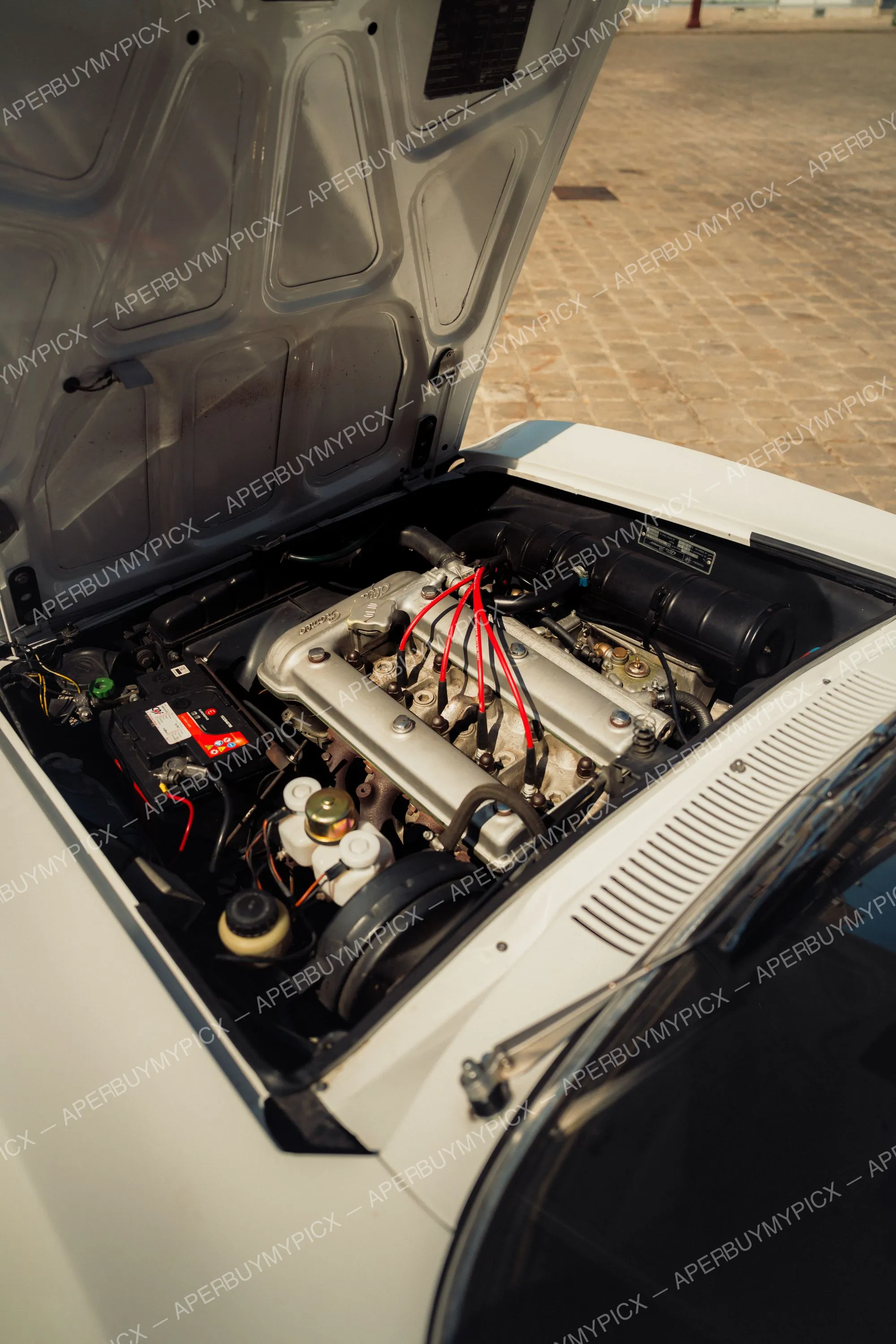 Compartiment moteur ouvert d'une Alfa Romeo 1600 blanche montrant le moteur Twin Cam en aluminium avec câbles rouges, batterie, réservoir de liquide de frein et capot relevé.