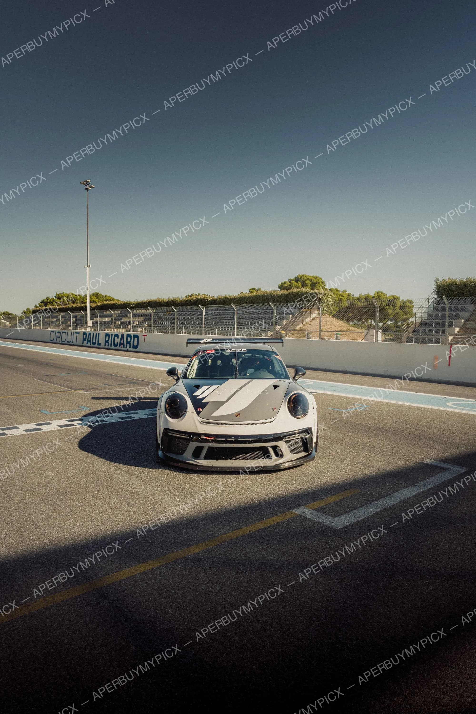 Porsche 911 GT3 Cup grise vue de face sur la piste du Circuit Paul Ricard, ligne d'arrivée à damier, ciel bleu et tribunes en arrière-plan