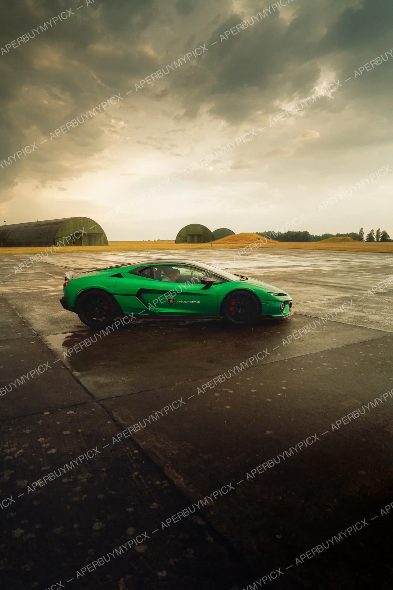 Ford Mustang Mach 1 #009