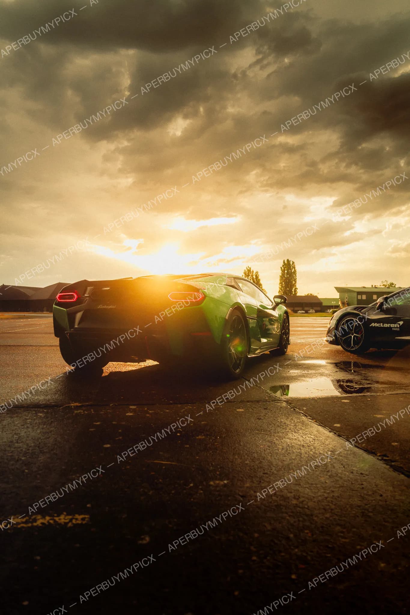 Ford Mustang Mach 1 #019