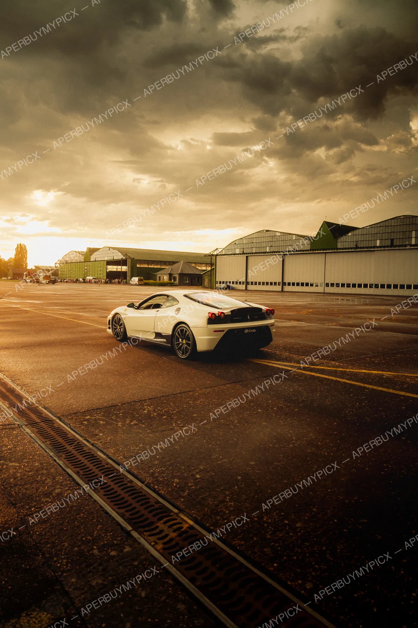 Ford Mustang Mach 1 #024