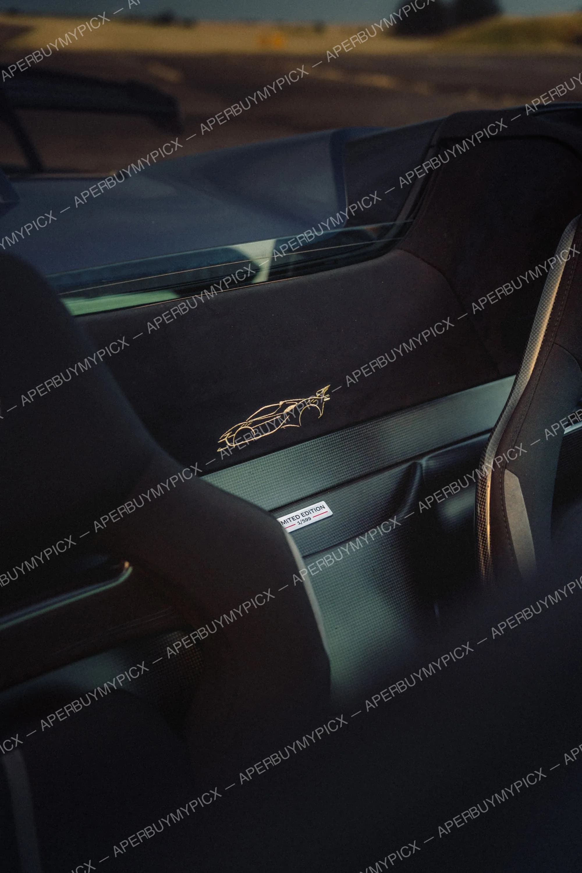Détail de l'intérieur sombre d'une voiture de sport avec broderie dorée en forme de silhouette de voiture et plaque Limited Edition 1/599 sur fibre de carbone