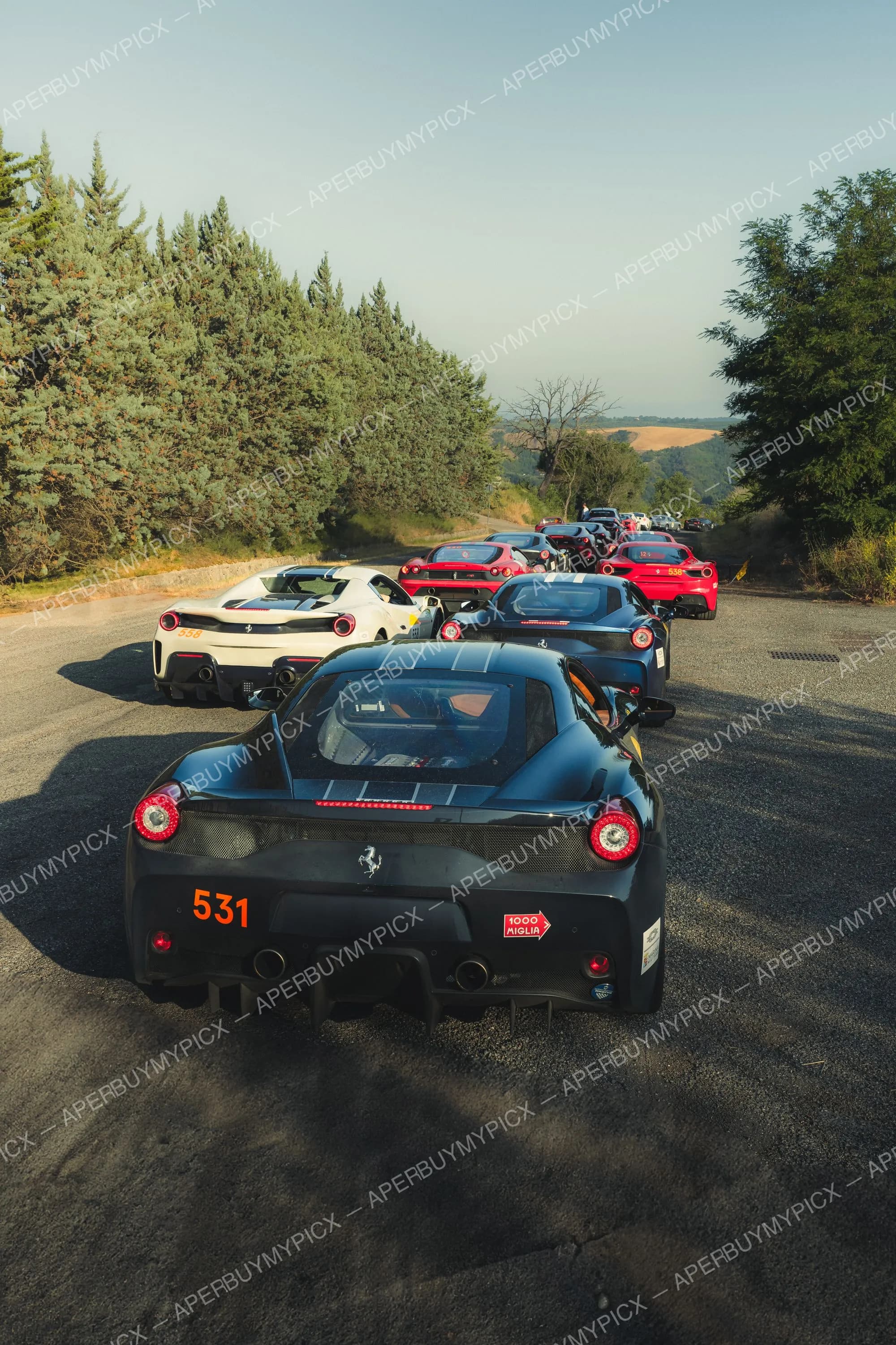 Cortège de Ferrari sur une route de campagne toscane lors de la Mille Miglia 2025, mené par une 458 Speciale noire numéro 531, suivie de Ferrari blanche, bleue et rouges.