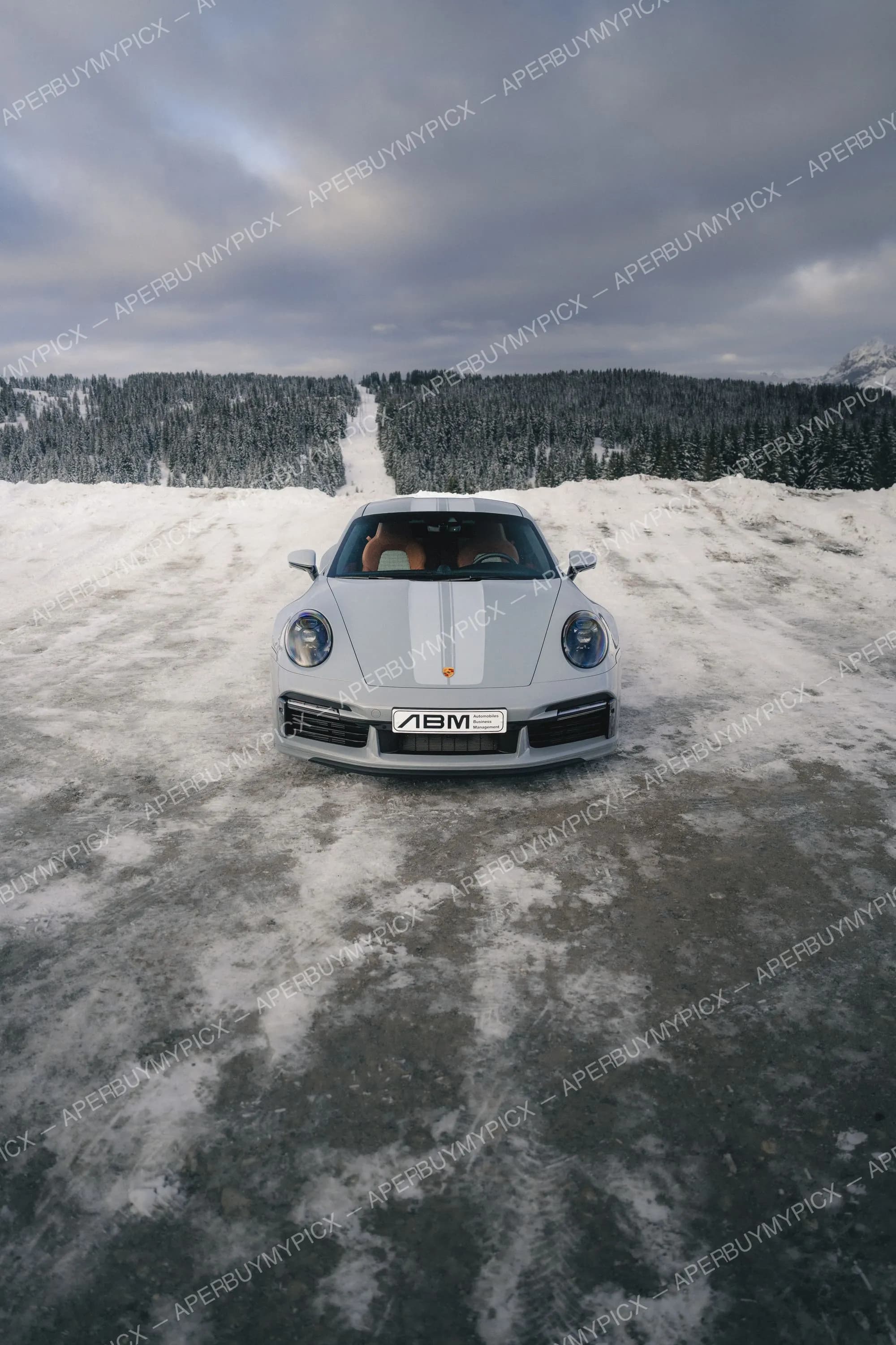 Porsche 911 Turbo grise vue de face garée sur une route enneigée, avec une forêt de sapins couverts de neige et des montagnes en arrière-plan sous un ciel nuageux à Megève.