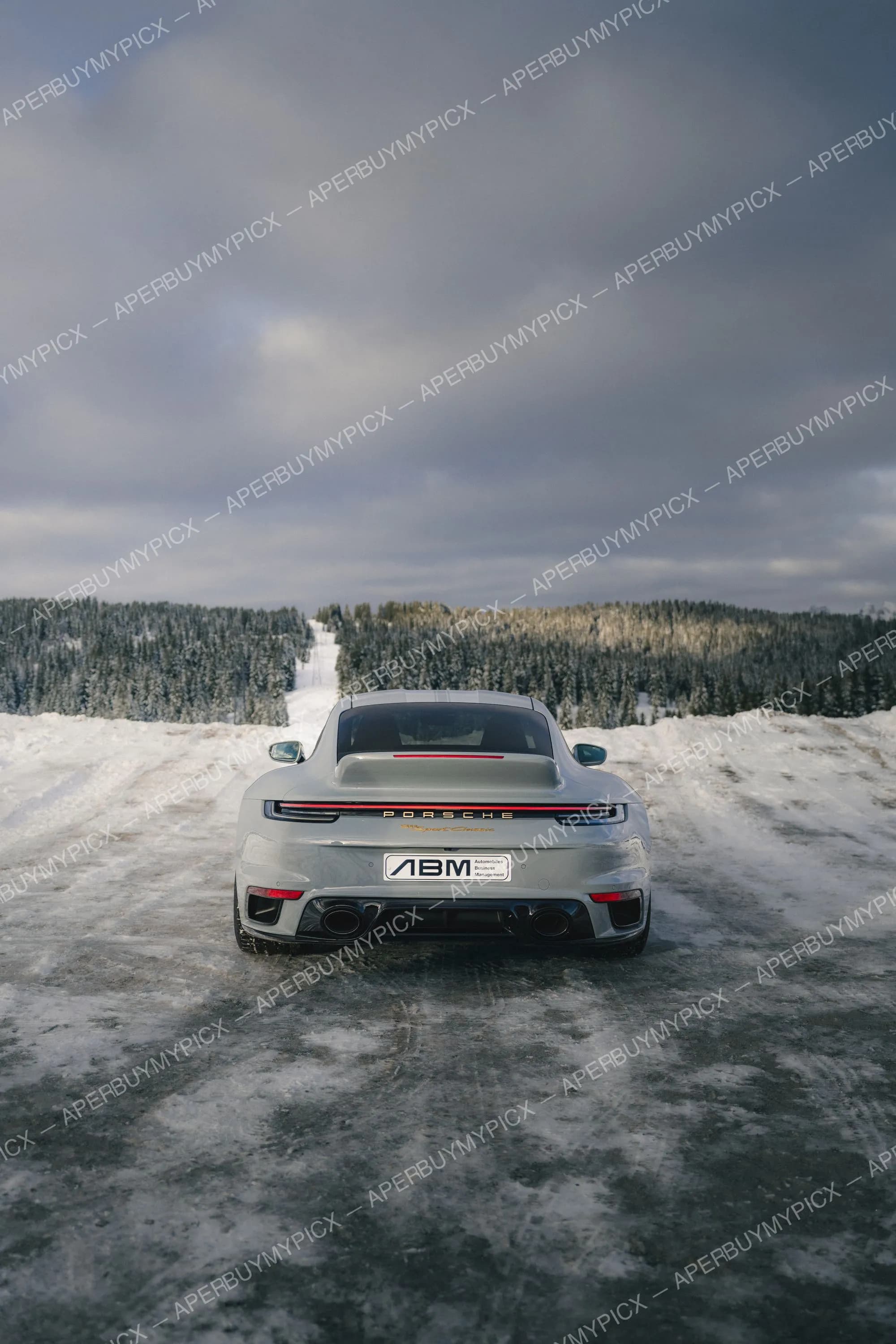 Vue arrière d'une Porsche 911 Sport Classic grise garée sur une route enneigée, face à une forêt de sapins couverts de neige et un ciel nuageux à Megève.