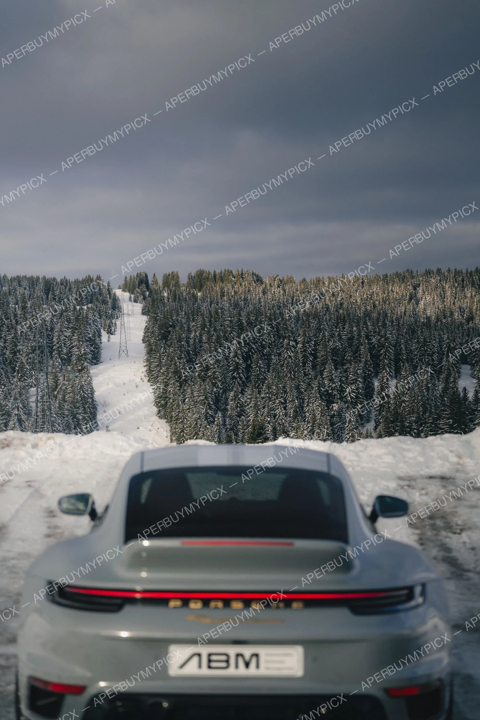 Vue arrière d'une Porsche 911 grise stationnée sur une route enneigée face à une forêt de sapins couverts de neige sous un ciel gris à Megève