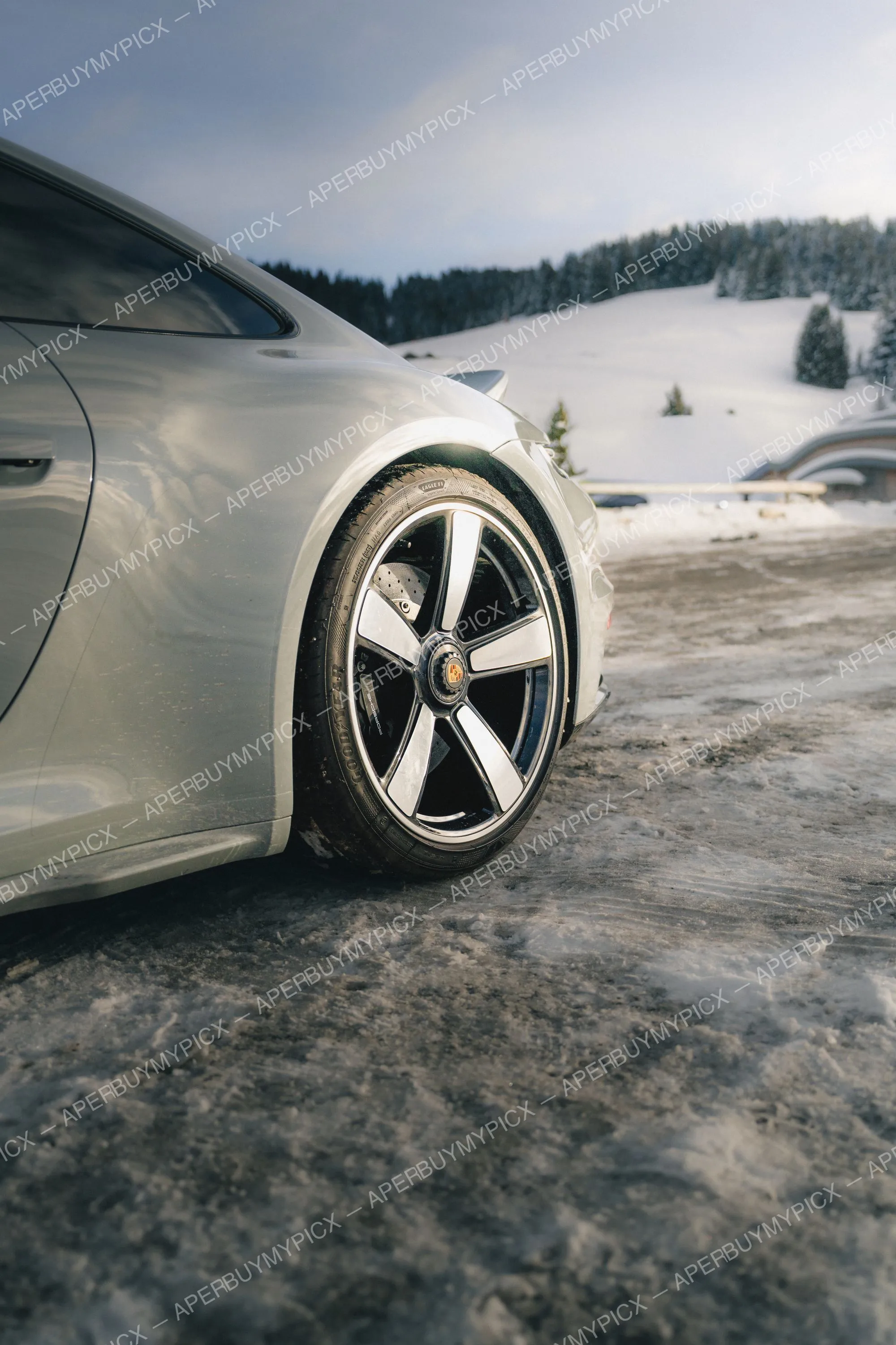 Vue arrière rapprochée d'une Porsche 911 grise et de sa jante avec pneus Goodyear Eagle F1, garée sur une route verglacée devant un paysage de montagne enneigée et de sapins à Megève.