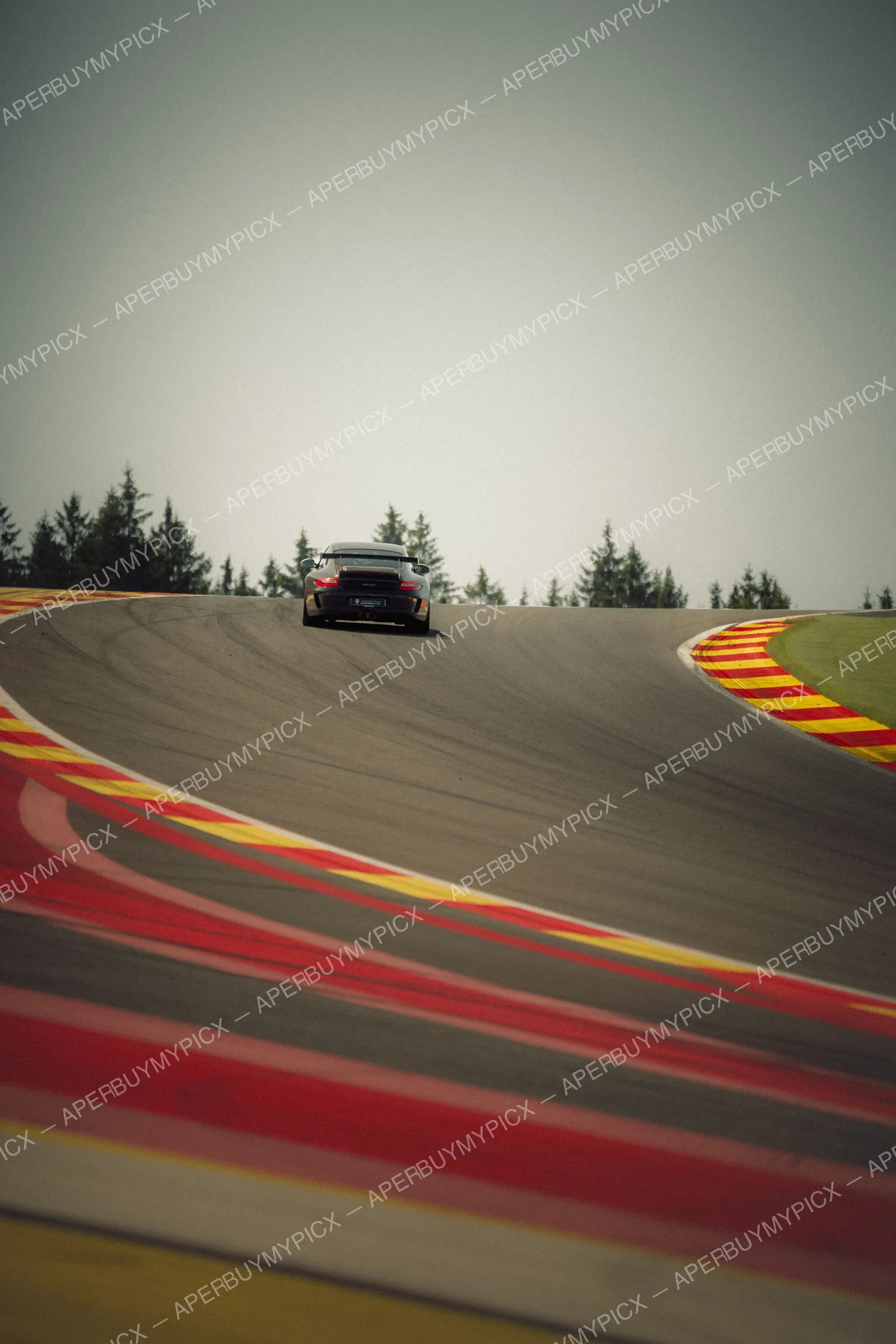 Porsche 911 GT3 RS noire vue de dos franchissant un virage du circuit de Spa-Francorchamps, avec vibreurs rouges et jaunes et forêt de sapins en arrière-plan.