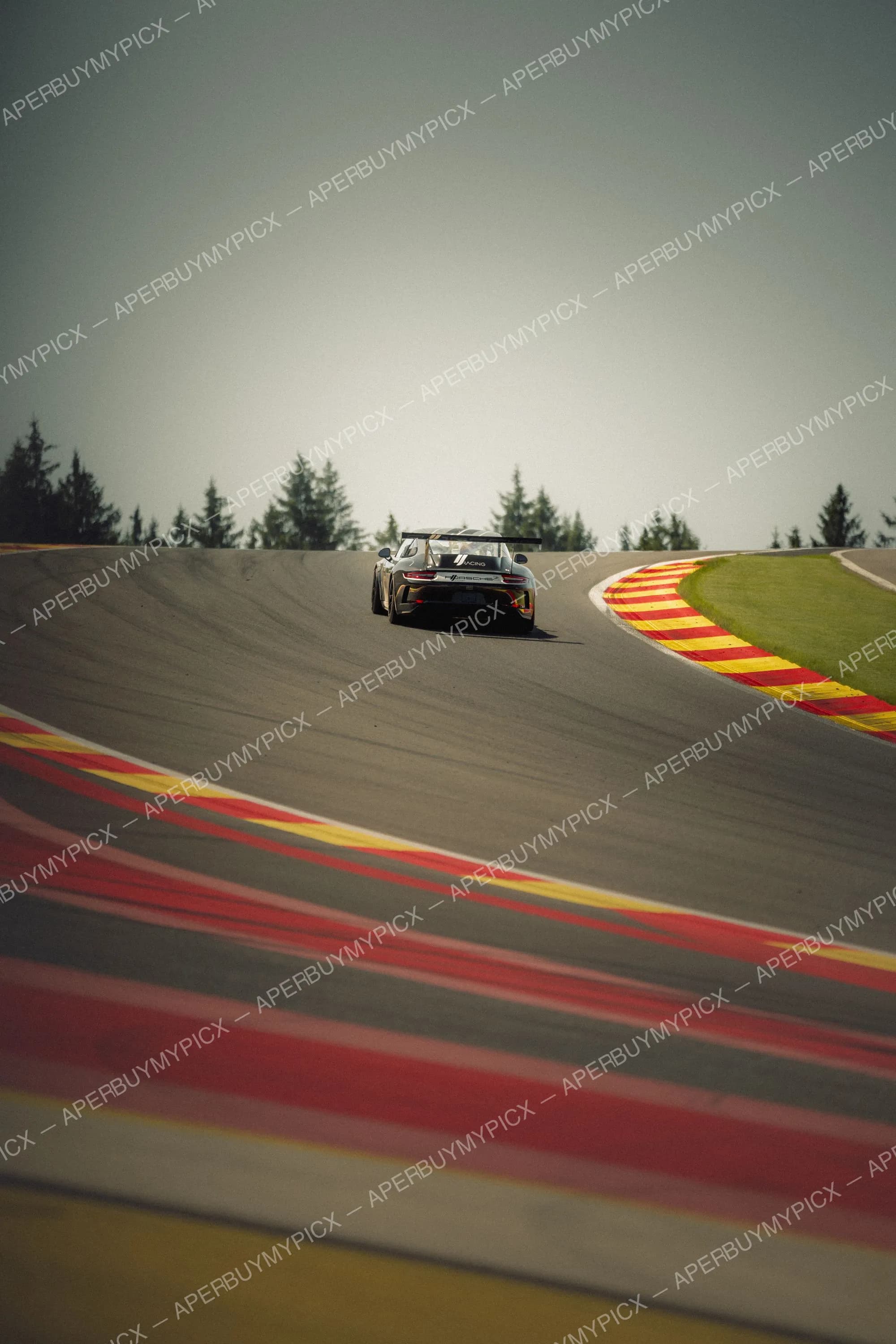 Porsche 911 GT3 Cup noire vue de dos en pleine course sur le circuit de Spa-Francorchamps, abordant un virage bordé de vibreurs rouge et jaune, avec pelouse verte et sapins en arrière-plan.