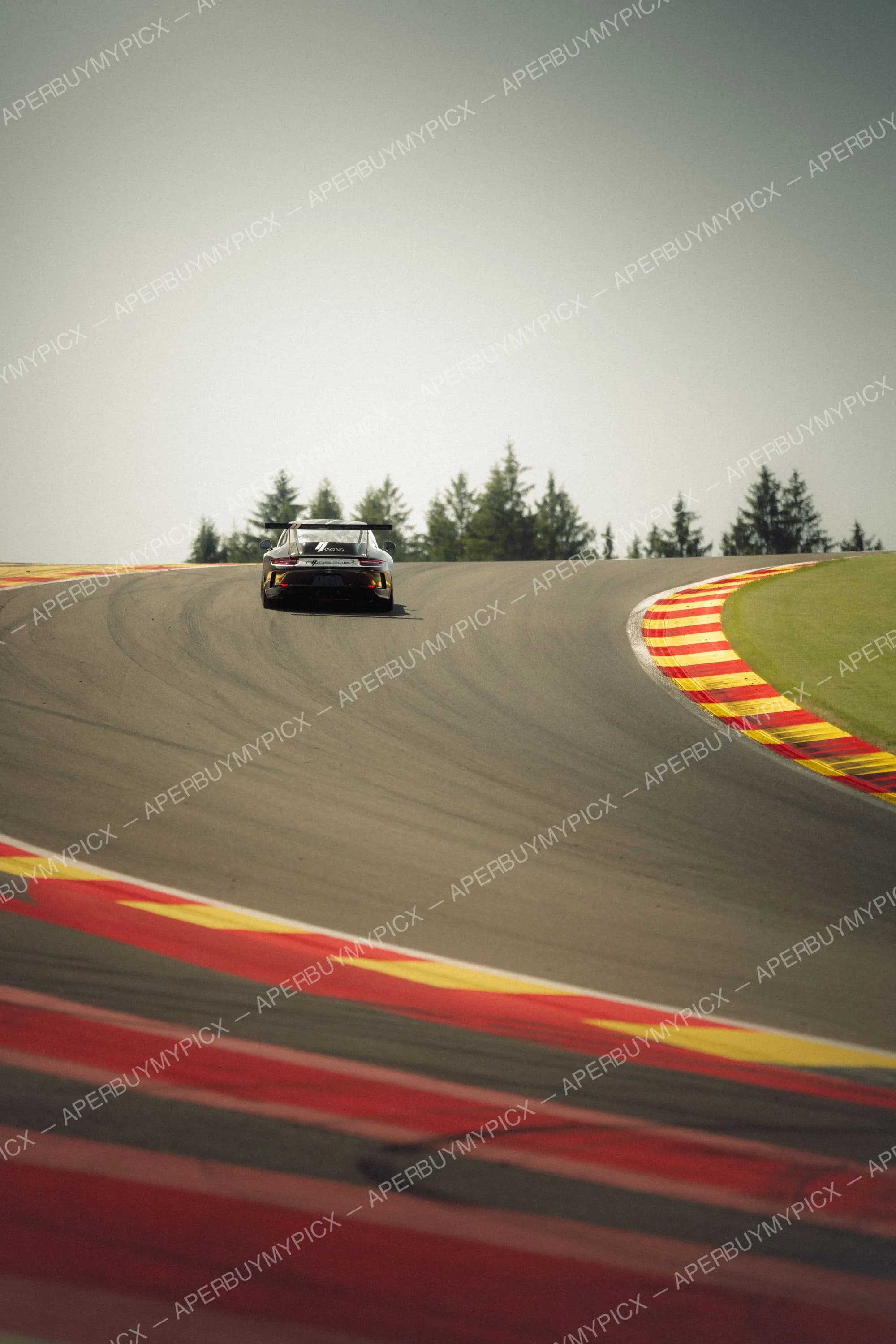 Porsche 911 GT3 Cup grise vue de l'arrière négociant un virage sur le circuit de Spa-Francorchamps, avec les vibreurs rouge et jaune caractéristiques et des sapins en arrière-plan sous un ciel clair.