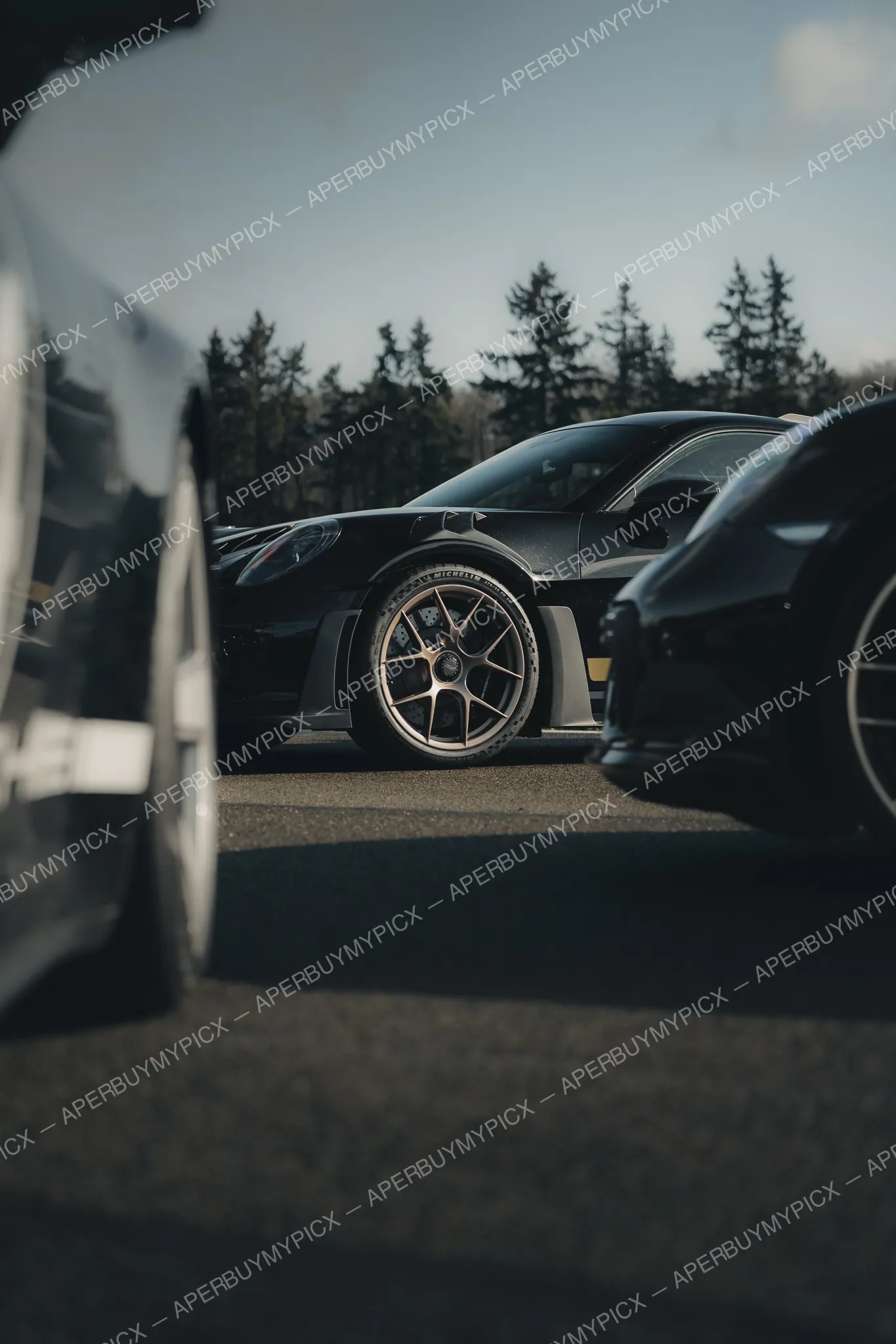 The Black Collection #008