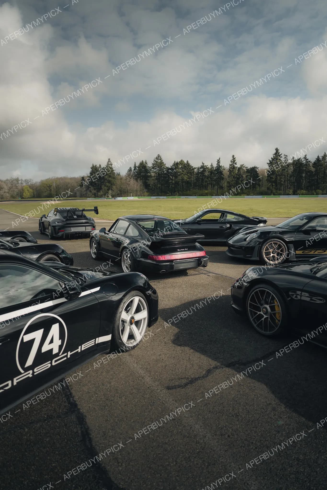 The Black Collection #013