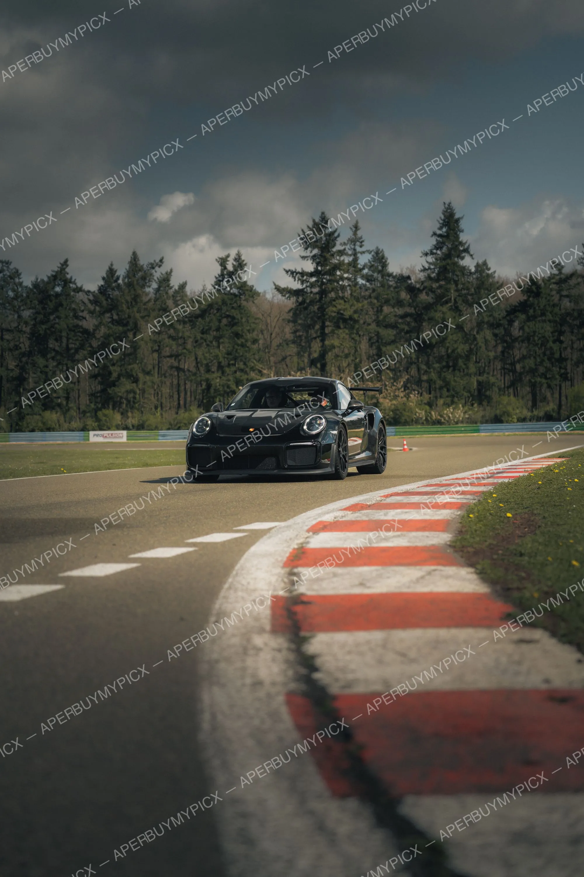 Porsche 911 GT2 RS noire abordant un virage sur circuit, vibreurs rouges et blancs au premier plan, forêt de sapins et ciel nuageux en arrière-plan.