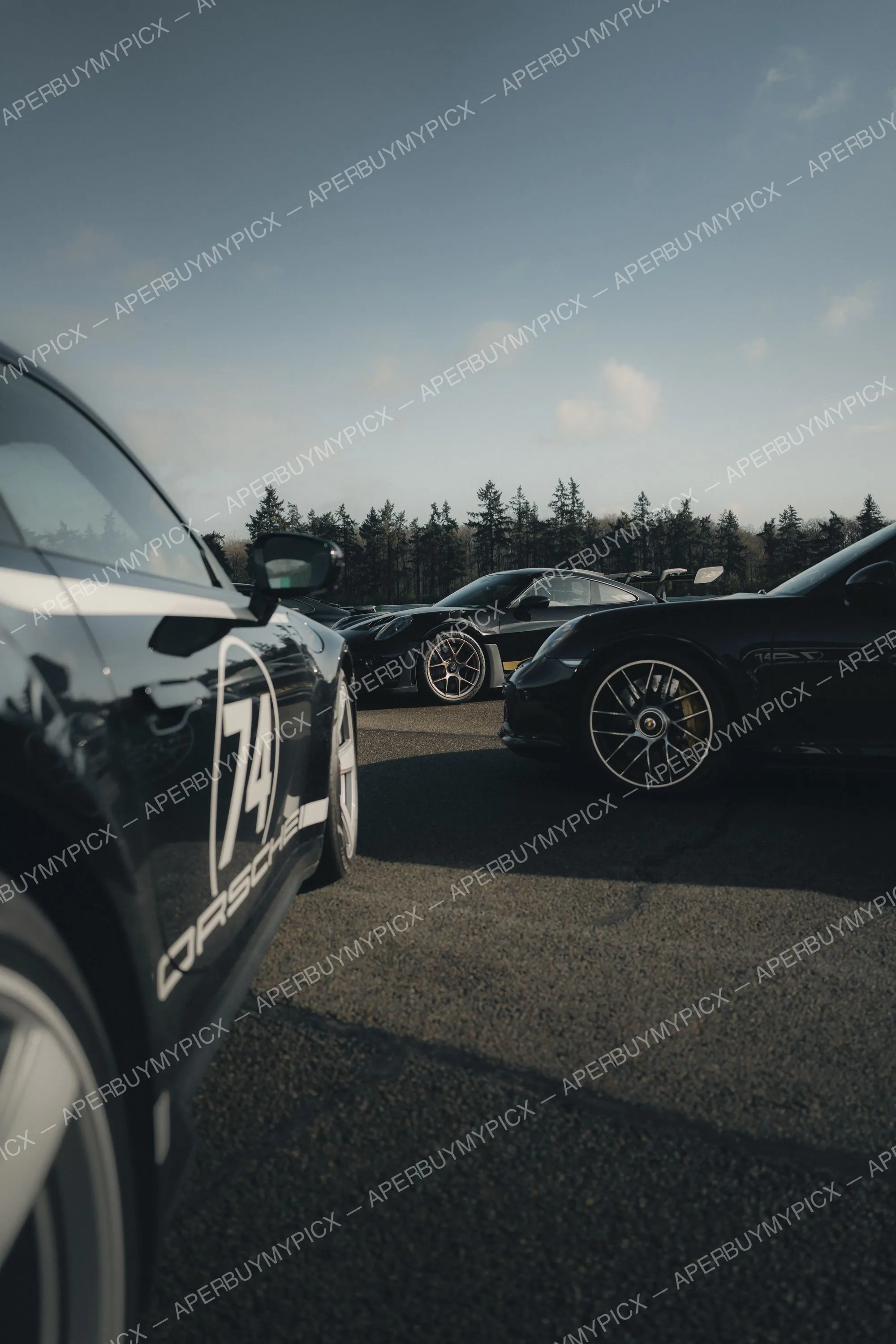 Plusieurs Porsche 911 noires alignées sur un circuit, dont une numéro 74, avec jantes détaillées et forêt de pins en arrière-plan sous un ciel nuageux