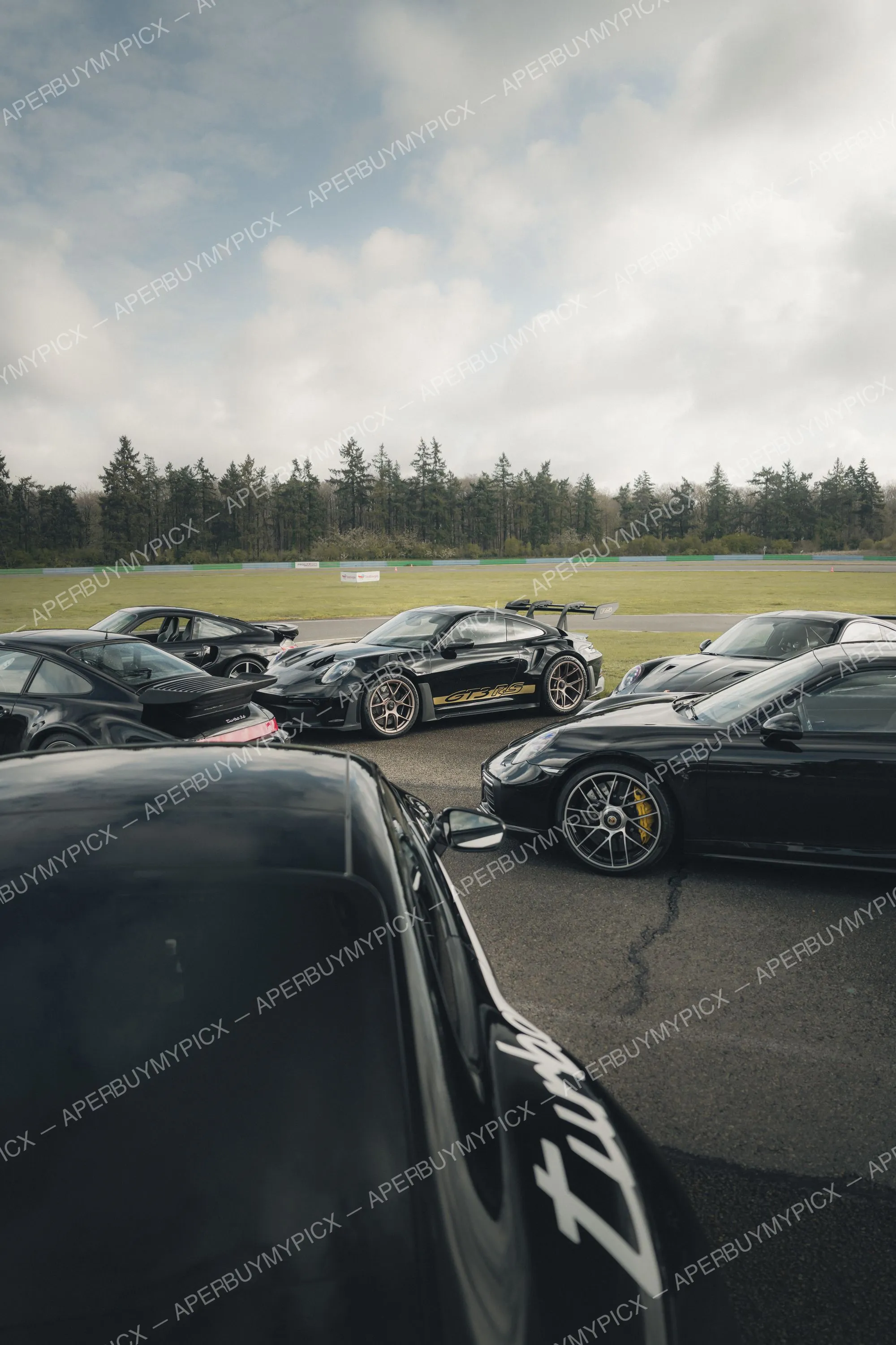 Rassemblement de Porsche 911 noires sur un circuit, dont une GT3 RS aux stickers dorés et plusieurs Turbo, sous un ciel nuageux devant une forêt de pins.